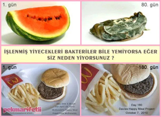 Bakteriler bile yemiyorsa, siz neden yiyorsunuz?