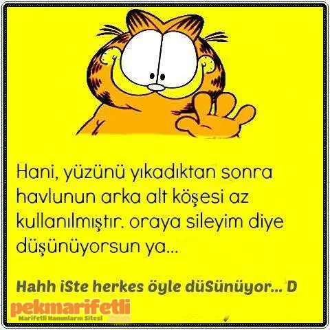Bi akıllı sen değilsin :D