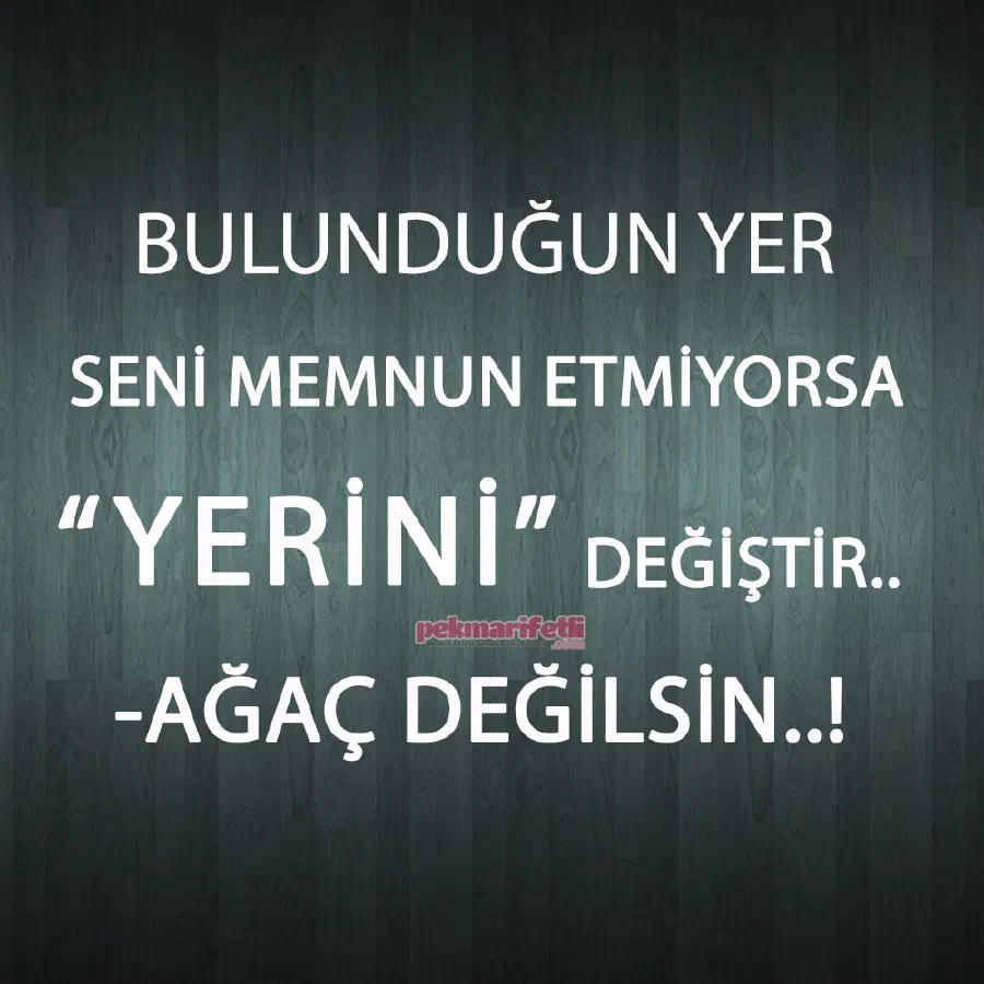 Bulunduğu yerden memnun olmayanlar..!