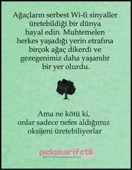 Doğayı sevelim, çevremizi ağaçlandıralım..!