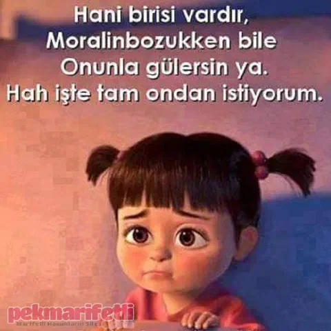 Hani birisi vardır..!