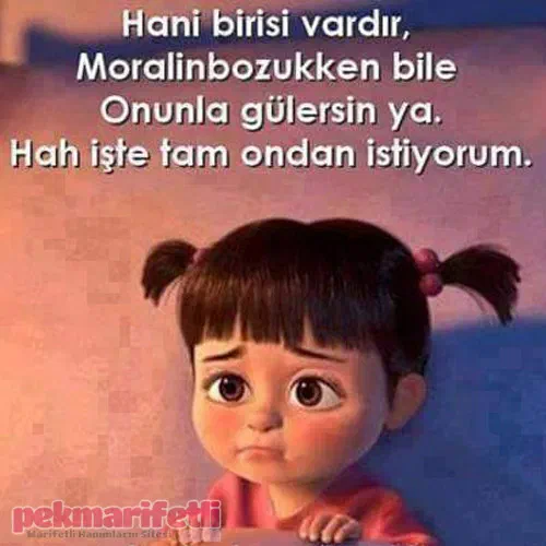 Hani birisi vardır..!