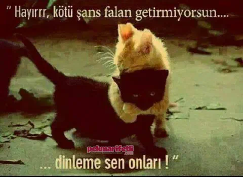 Hayırrr, kötü şans falan getirmiyorsun...