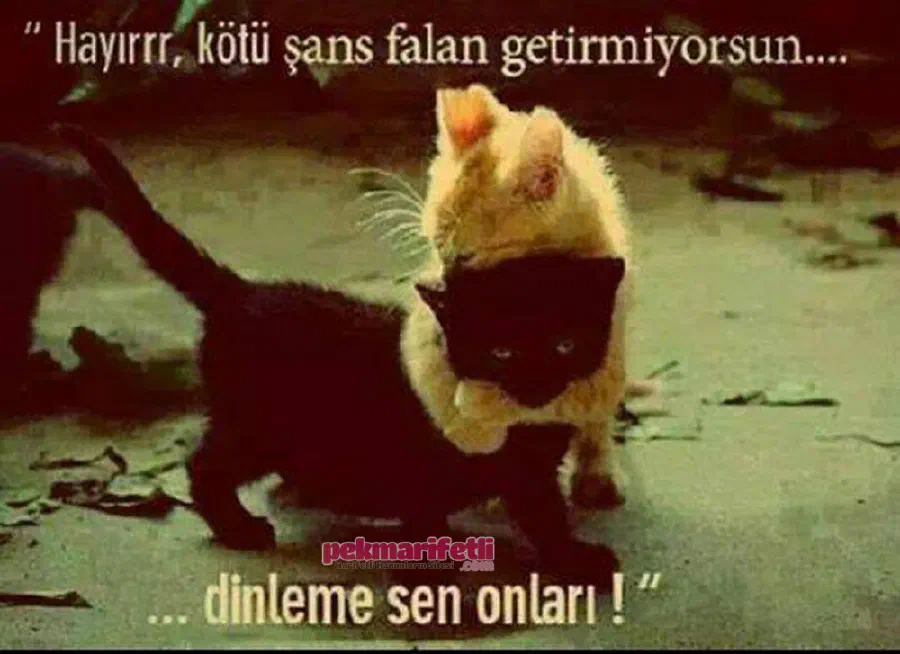 Hayırrr, kötü şans falan getirmiyorsun...
