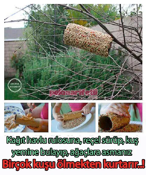 Soğuk havalarda hayvanlara karşı duyarlı olalım..!