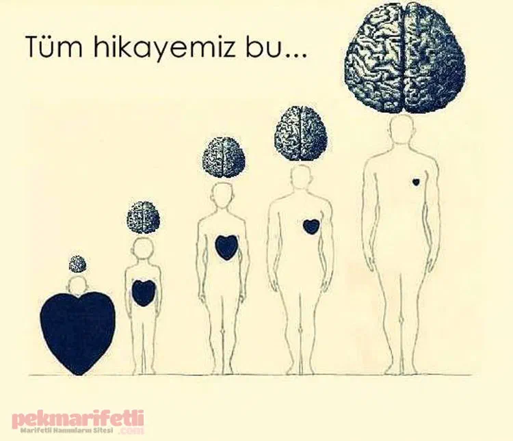 Tüm hikayemiz bu..!