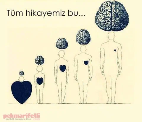 Tüm hikayemiz bu..!